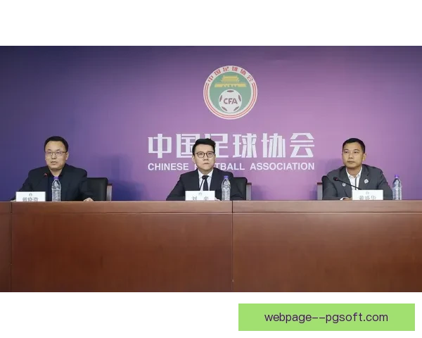 中国足协职业联赛财务审计与管理规范研究